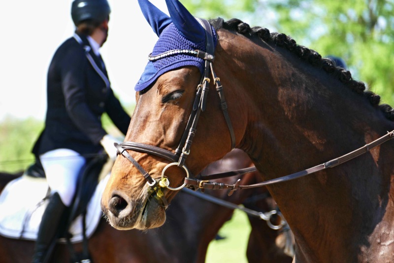 SpringDress-Neuhofen-31