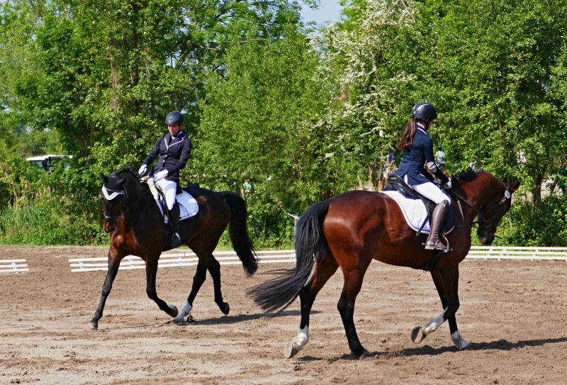 SpringDress-Neuhofen-37