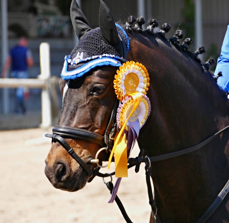 SpringDress-Neuhofen-42