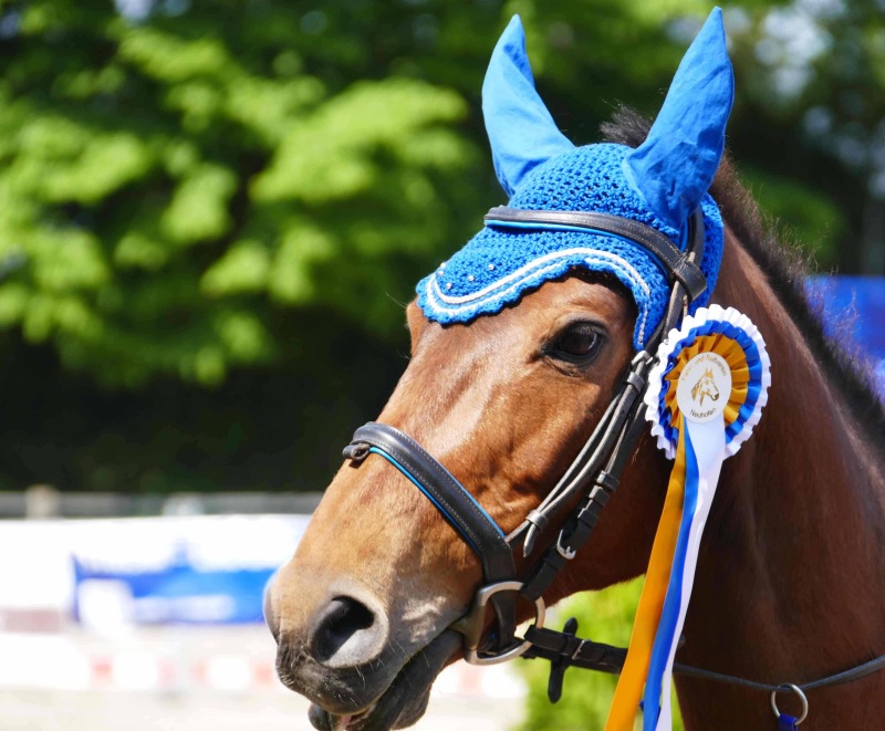 SpringDress-Neuhofen-43