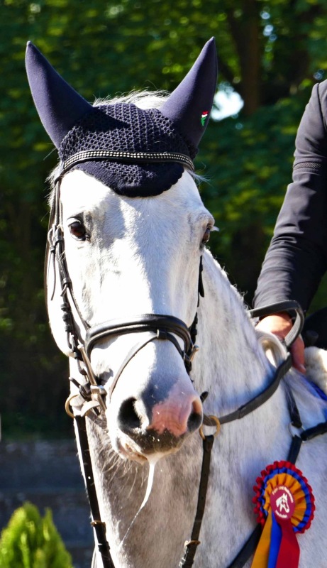 SpringDress-Neuhofen-49