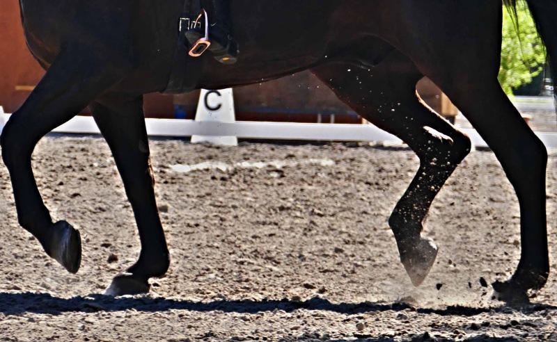 SpringDress-Neuhofen-52