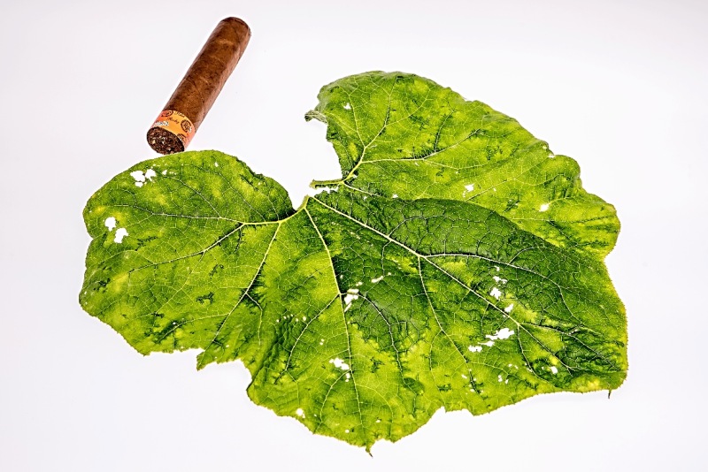 Workshop-TableTop-30